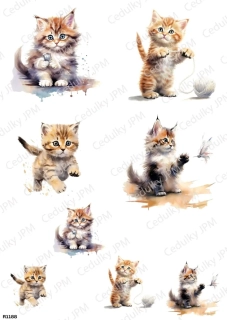 Rýžový a Soft  papír  A4 pro decoupage- R01188
