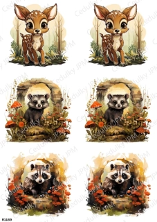 Rýžový a Soft  papír  A4 pro decoupage- R01189