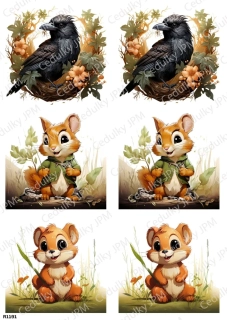 Rýžový a Soft  papír  A4 pro decoupage- R01191