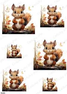 Rýžový a Soft  papír  A4 pro decoupage- R01193