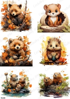 Rýžový a Soft  papír  A4 pro decoupage- R01196