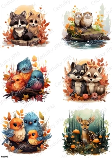 Rýžový a Soft  papír  A4 pro decoupage- R01198