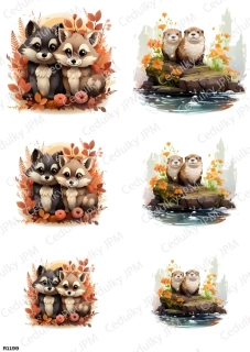 Rýžový a Soft  papír  A4 pro decoupage- R01199