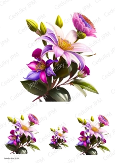 Rýžový a Soft  papír  A4 pro decoupage- R01201