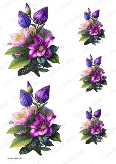 Rýžový a Soft  papír  A4 pro decoupage- R01242