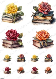 Rýžový a Soft  papír  A4 pro decoupage- R01244