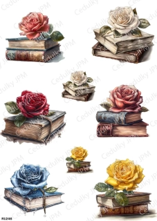 Rýžový a Soft  papír  A4 pro decoupage- R01246