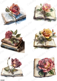 Rýžový a Soft  papír  A4 pro decoupage- R01248