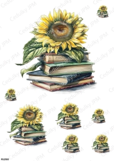 Rýžový a Soft  papír  A4 pro decoupage- R01250