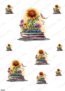 Rýžový a Soft  papír  A4 pro decoupage- R01251