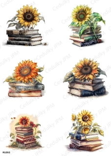 Rýžový a Soft  papír  A4 pro decoupage- R01252