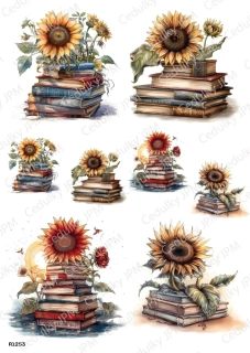 Rýžový a Soft  papír  A4 pro decoupage- R01253