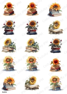 Rýžový a Soft  papír  A4 pro decoupage- R01254