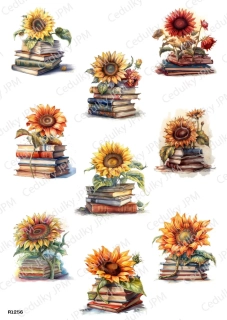 Rýžový a Soft  papír  A4 pro decoupage- R01256