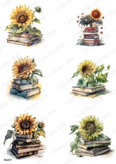 Rýžový a Soft  papír  A4 pro decoupage- R01257