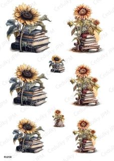 Rýžový a Soft  papír  A4 pro decoupage- R01258