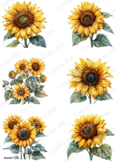 Rýžový a Soft  papír  A4 pro decoupage- R01259