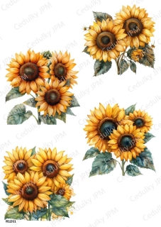 Rýžový a Soft  papír  A4 pro decoupage- R01261