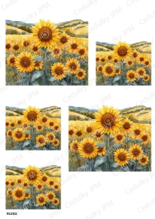Rýžový a Soft  papír  A4 pro decoupage- R01262