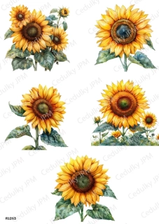 Rýžový a Soft  papír  A4 pro decoupage- R01263