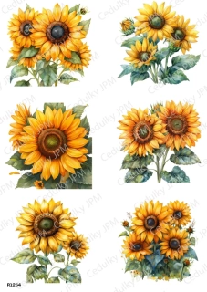 Rýžový a Soft  papír  A4 pro decoupage- R01264