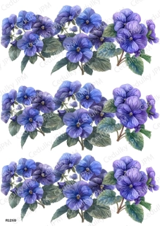 Rýžový a Soft  papír  A4 pro decoupage- R01269