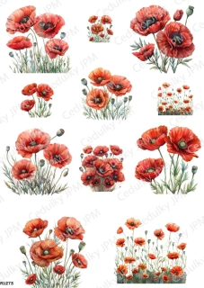 Rýžový a Soft  papír  A4 pro decoupage- R01273