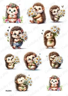 Rýžový a Soft  papír  A4 pro decoupage- R01294