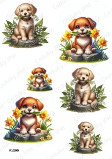 Rýžový a Soft  papír  A4 pro decoupage- R01295