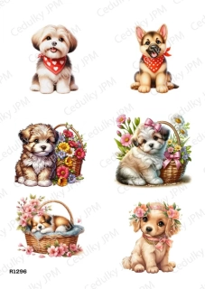 Rýžový a Soft  papír  A4 pro decoupage- R01296