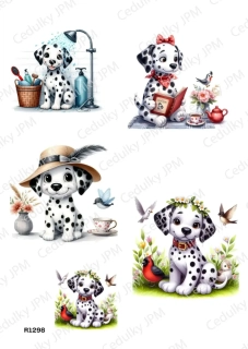 Rýžový a Soft  papír  A4 pro decoupage- R01298