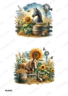 Rýžový a Soft  papír  A4 pro decoupage- R01300