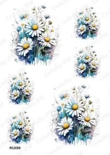 Rýžový a Soft  papír  A4 pro decoupage- R01339