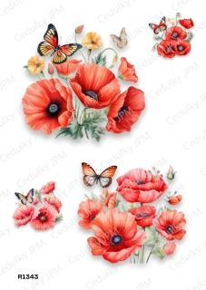 Rýžový a Soft  papír  A4 pro decoupage- R01343