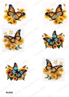 Rýžový a Soft  papír  A4 pro decoupage- R01350