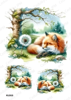 Rýžový a Soft  papír  A4 pro decoupage- R01353