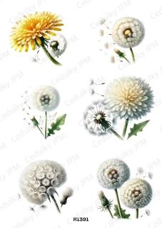 Rýžový a Soft  papír  A4 pro decoupage- R01391
