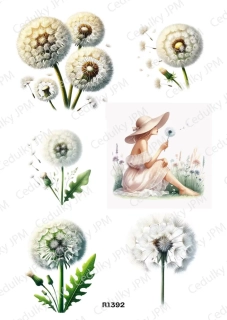 Rýžový a Soft  papír  A4 pro decoupage- R01392