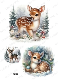 Rýžový a Soft  papír  A4 pro decoupage- R01419