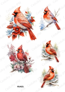 Rýžový a Soft papír A4 pro decoupage- R01421