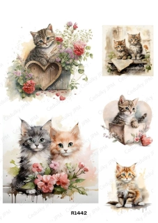 Rýžový a Soft  papír  A4 pro decoupage- R01442
