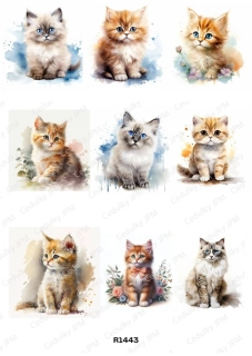 Rýžový a Soft  papír  A4 pro decoupage- R01443