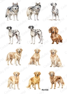 Rýžový a Soft  papír  A4 pro decoupage- R01456