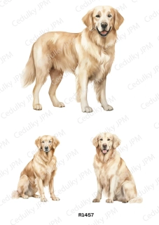 Rýžový a Soft  papír  A4 pro decoupage- R01457