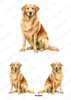 Rýžový a Soft  papír  A4 pro decoupage- R01458