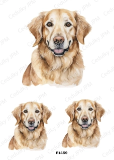 Rýžový a Soft  papír  A4 pro decoupage- R01459