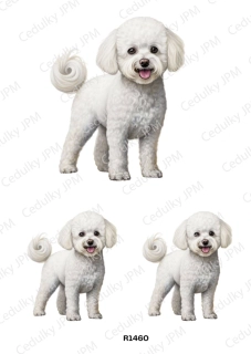 Rýžový a Soft  papír  A4 pro decoupage- R01460