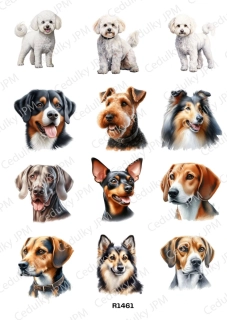 Rýžový a Soft  papír  A4 pro decoupage- R01461