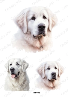 Rýžový a Soft  papír  A4 pro decoupage- R01463