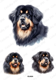 Rýžový a Soft  papír  A4 pro decoupage- R01464